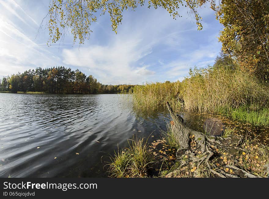 Little Pond And Autumn Forest