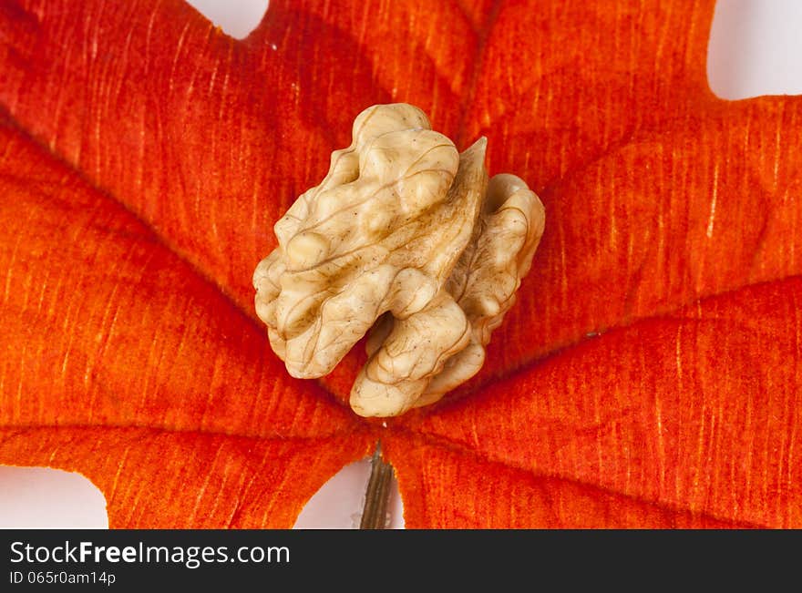 Walnut on a leaf in fall