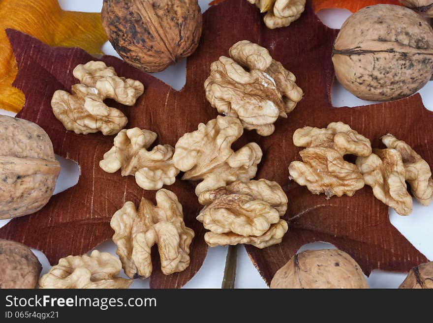 Walnuts on a leaf in fall