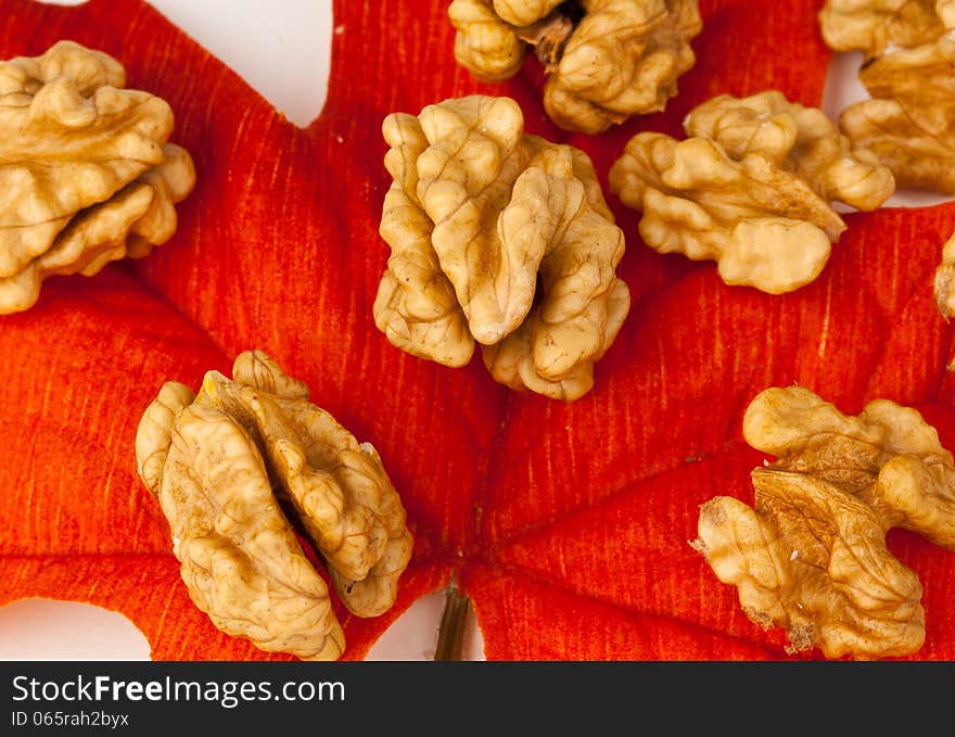 Walnuts on a leaf in fall