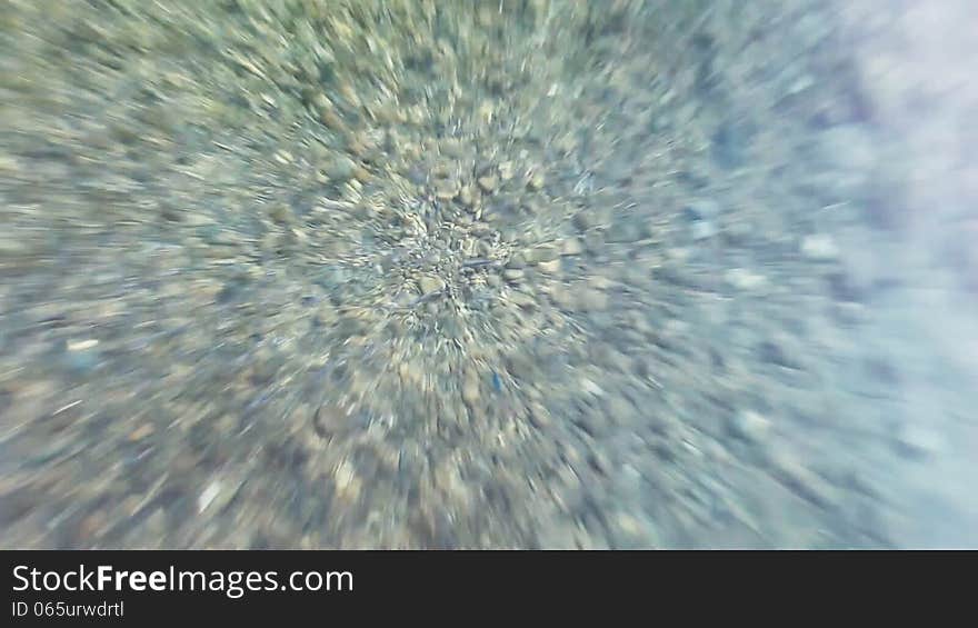 Fishes in sea water on stone background