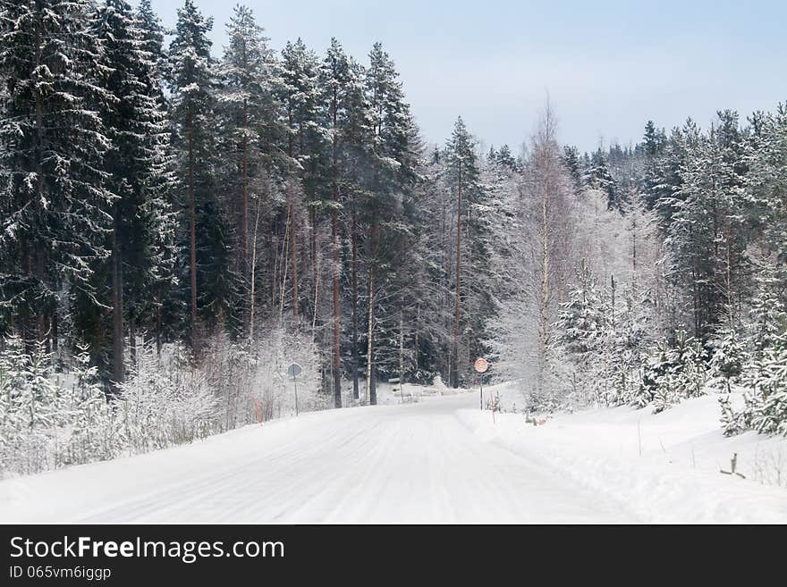 Winter forest and a snow road