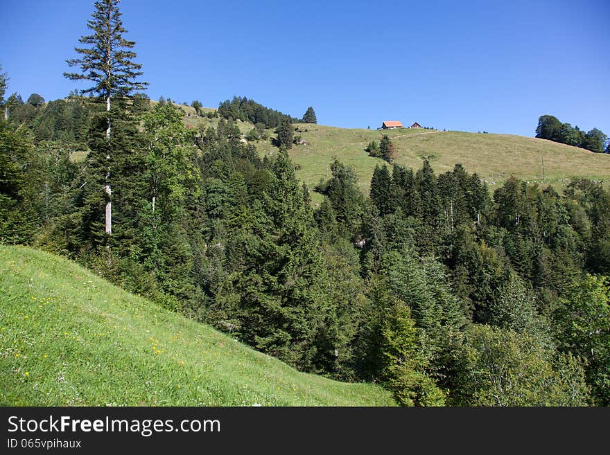 Mountain landscape in Switzerland, Mt.Rigi