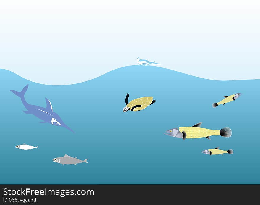 Ocean life illustration inhabitants. Ocean life illustration inhabitants