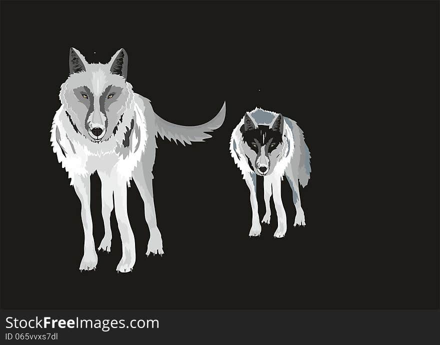 Illustration of wolfes isolated on black. Illustration of wolfes isolated on black