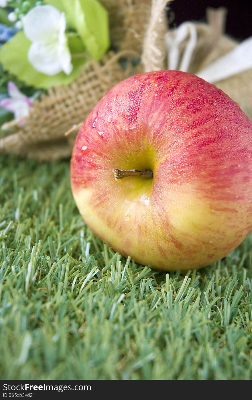 Apple on green grass