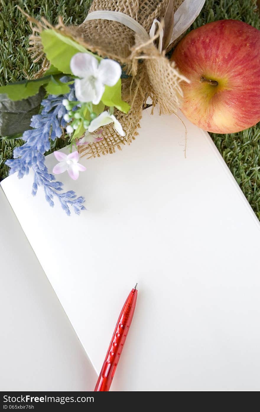 Blank page of book with red pen