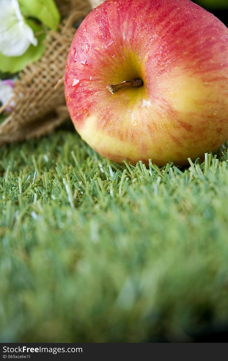 Fresh Apple On Grass