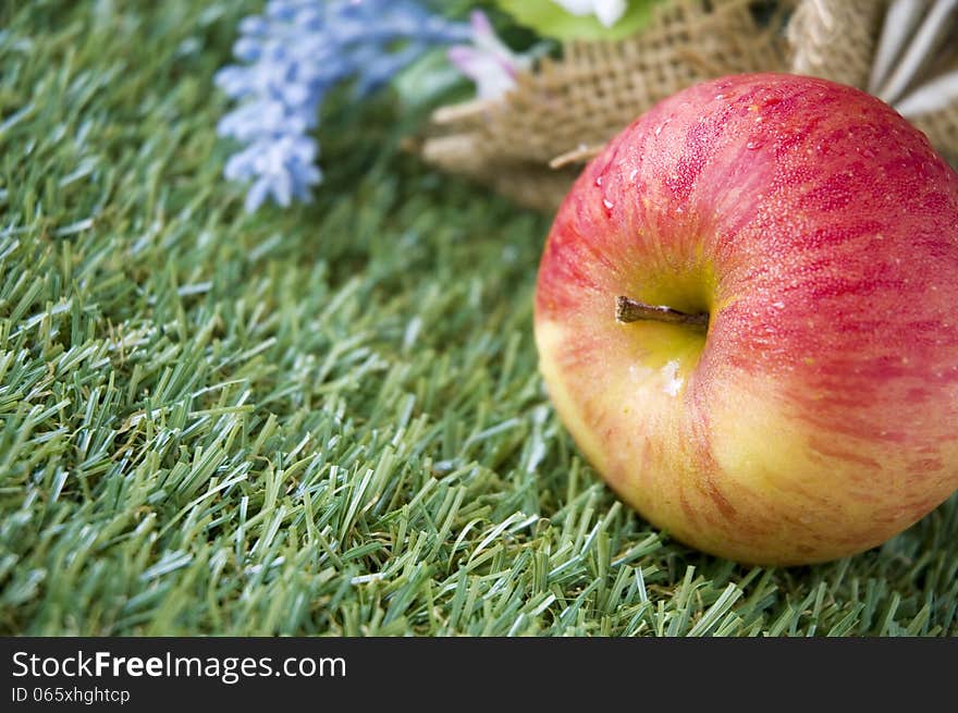 Close up apple on grass