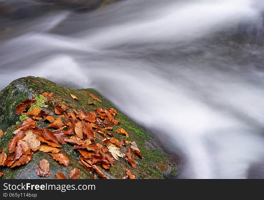 Autumn brook with stones and beech leaves