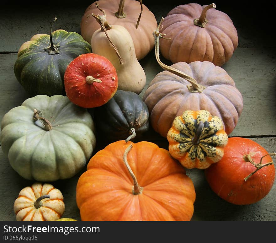 Assorted Multi Colored Pumpkins