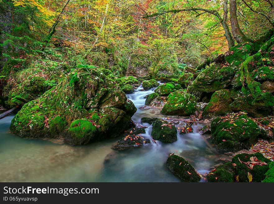 Creek deep in mountain forest in Transylvania