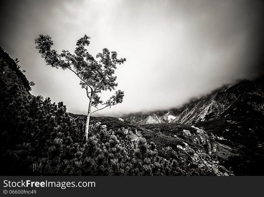 Beautiful Tatry mountains landscape in black and white