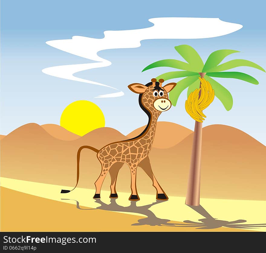 Giraffe in africa going to desert