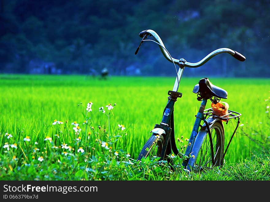 A bicycle on green fields