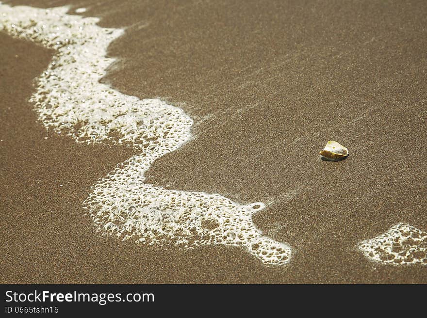 Sea Shell on the sandy beach with the leading line in the corner