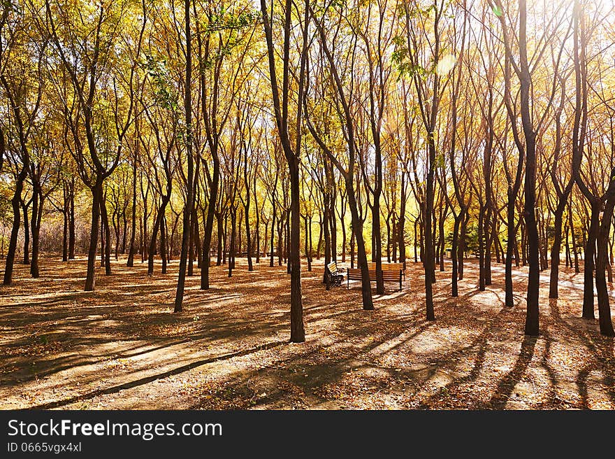 The photo taken in China's heilongjiang province daqing city,times square.The time is October 12, 2013. The photo taken in China's heilongjiang province daqing city,times square.The time is October 12, 2013.