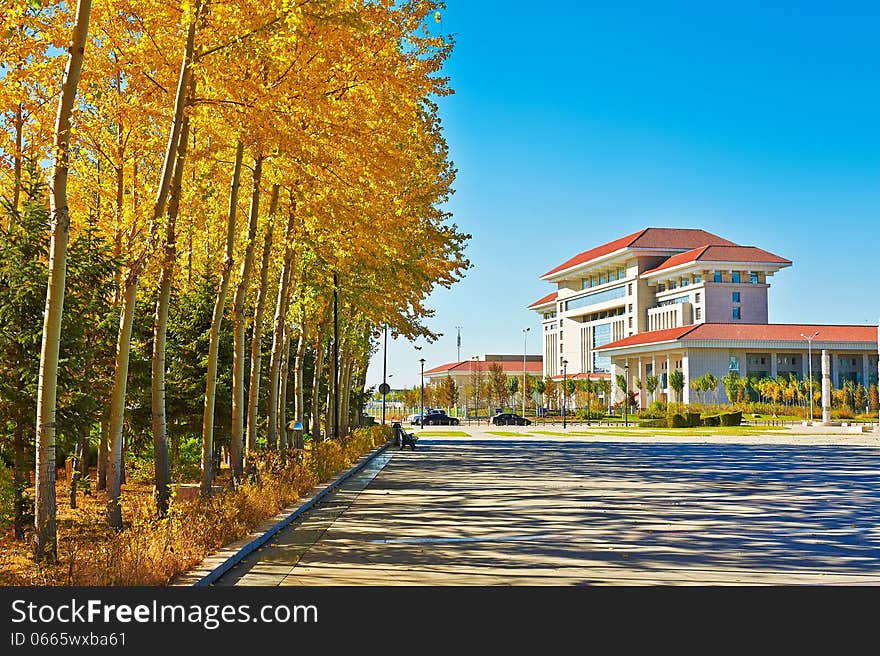 The Building And Gloden Leaves