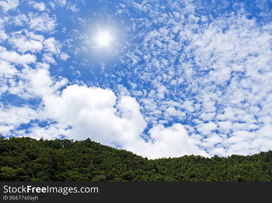 The sun and fluffy clouds over the forest. The sun and fluffy clouds over the forest