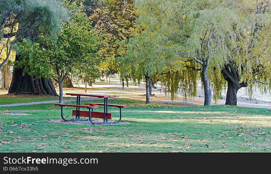 Wooden Bench