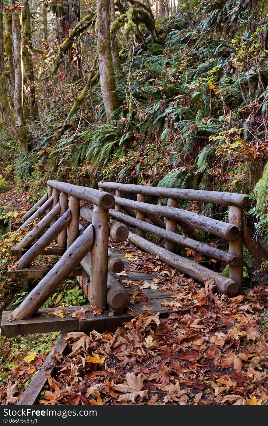 Wooden bridge made out of wooden logs on nature trail in mountains. Wooden bridge made out of wooden logs on nature trail in mountains.