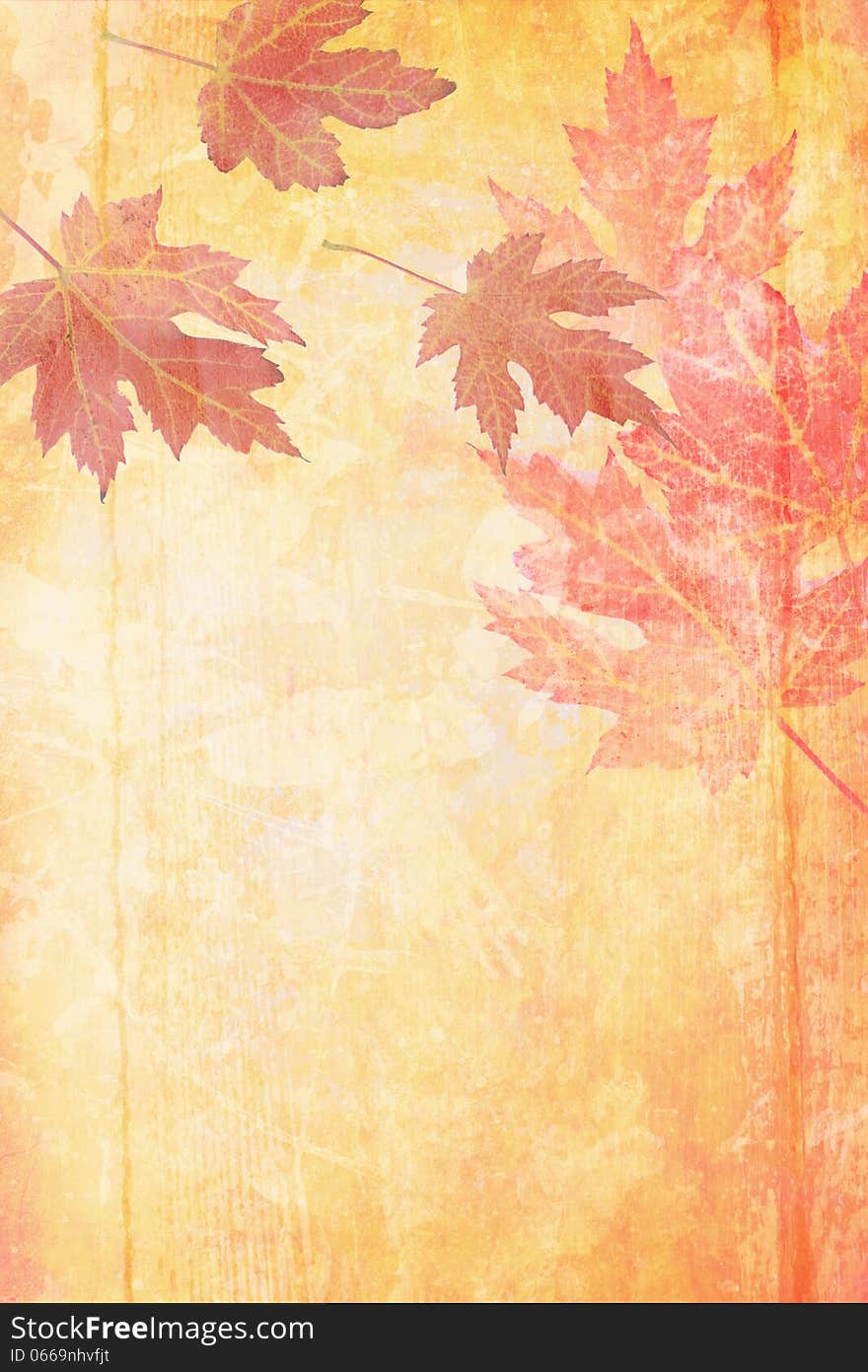 Old grungy background with maple leaves