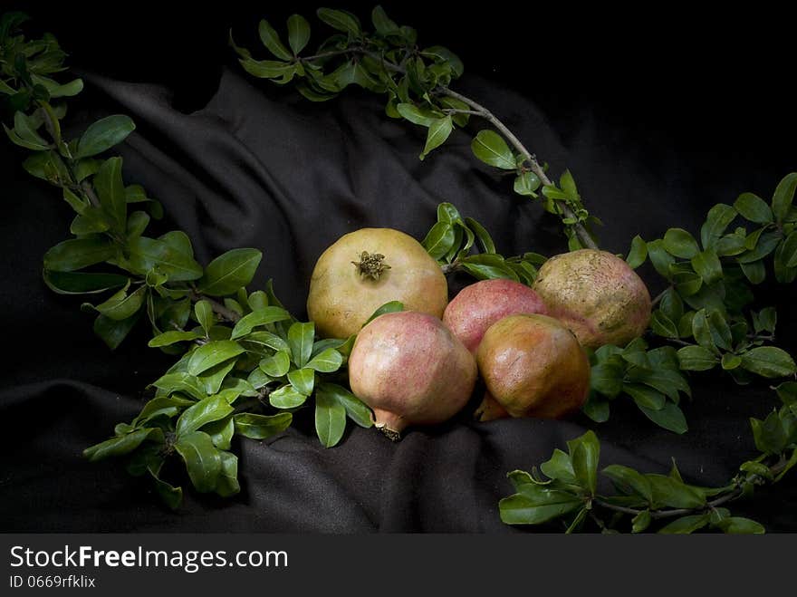 Chestnuts in cofruit and vegetables on a dark. Chestnuts in cofruit and vegetables on a dark