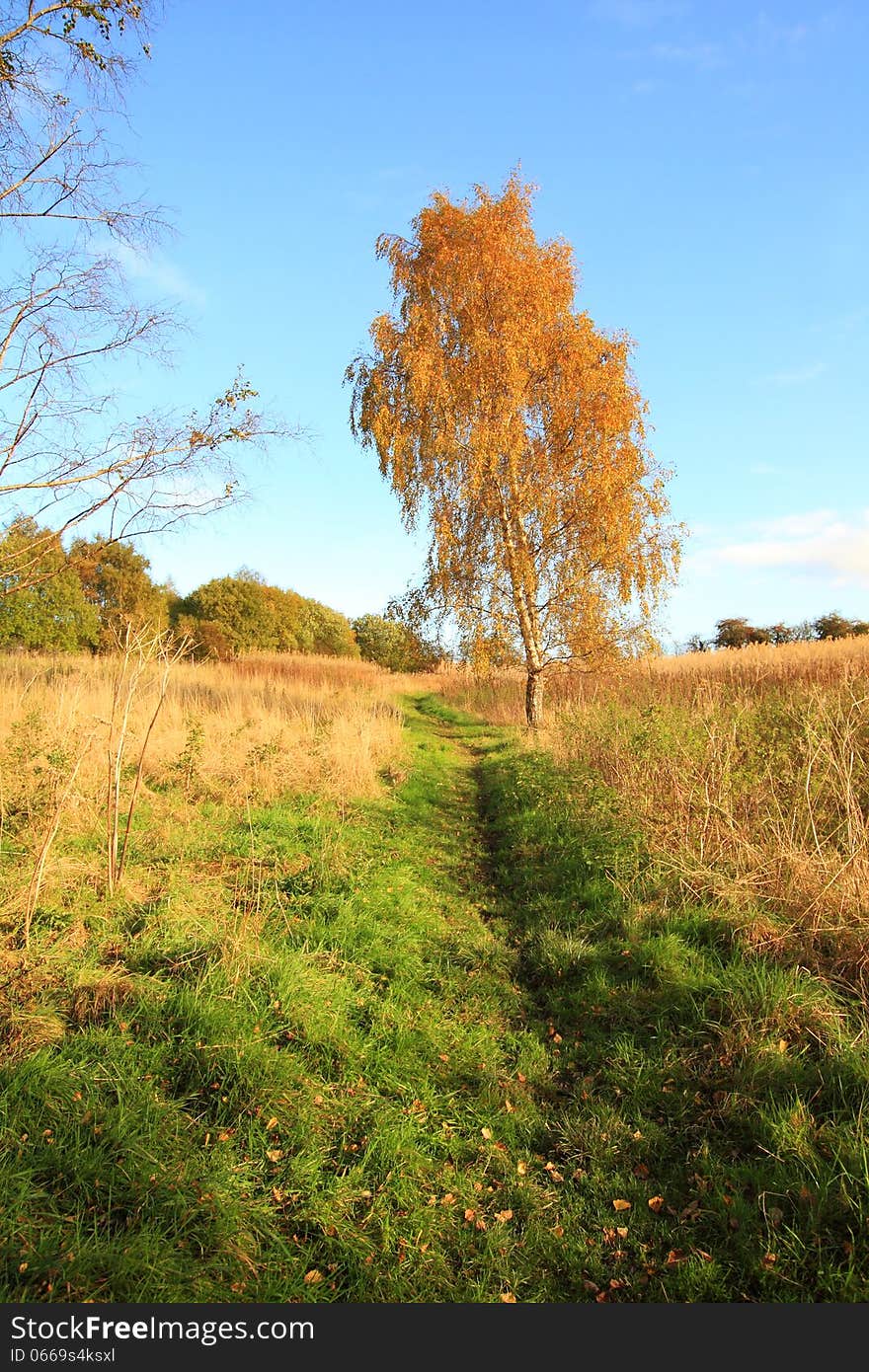 Beautiful autumnal landscape in the park