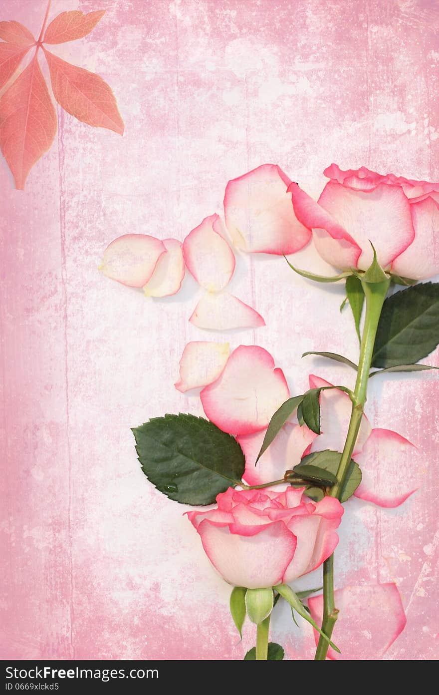 Old grungy background with lovely pink roses