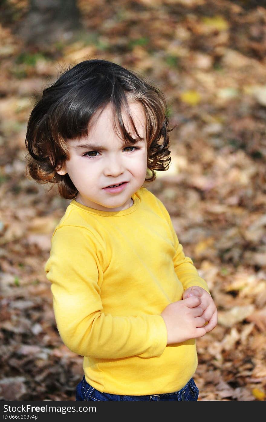 Cute little boy portrait in autumn park. Cute little boy portrait in autumn park.