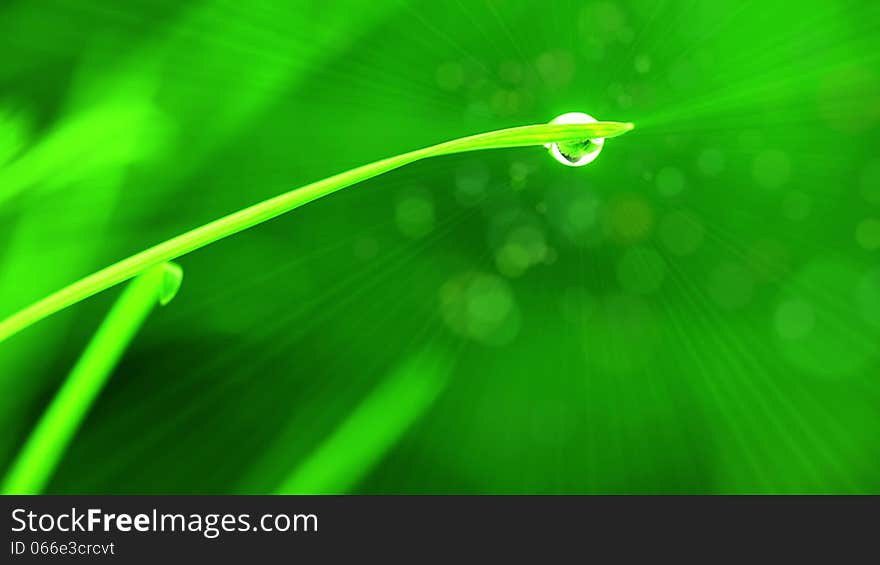 Green background. A blade of grass with a drop of water in the foreground. Rays diverge and particles flying from the drop. Green background. A blade of grass with a drop of water in the foreground. Rays diverge and particles flying from the drop