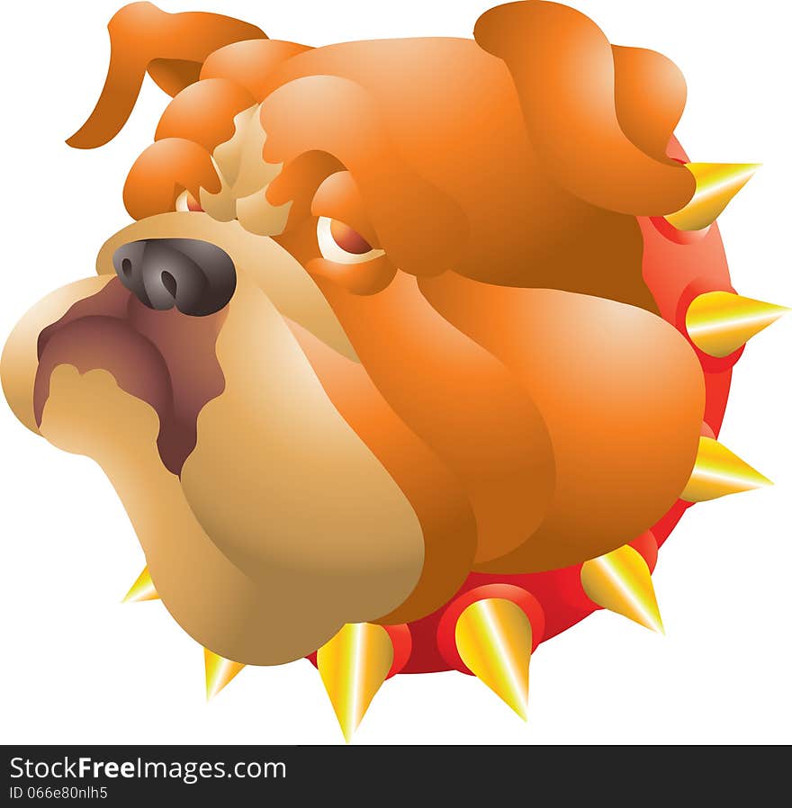 Orange bulldog head isolated illustration