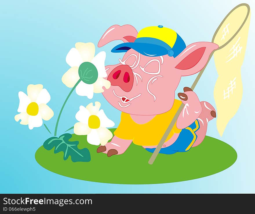 Pig on the nature of flowers rests near. Pig on the nature of flowers rests near