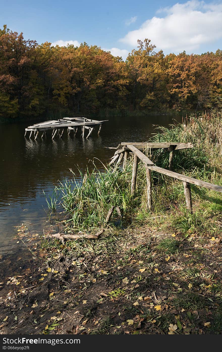 Forest pond.