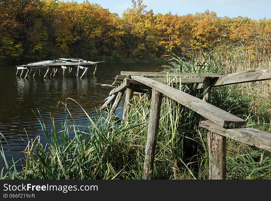 Forest pond.