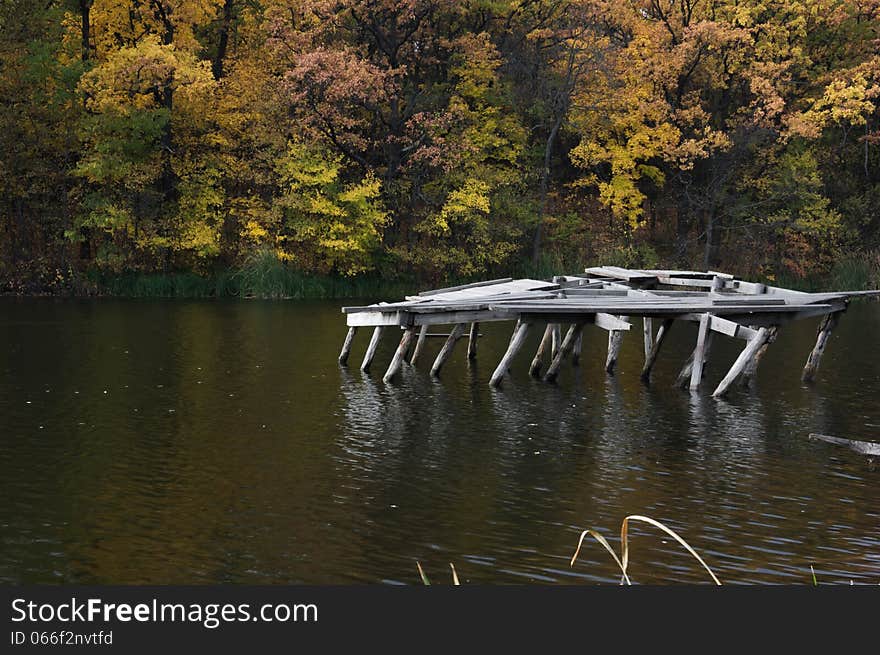 Forest pond.