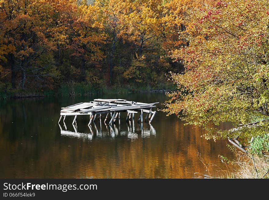 Forest Pond.