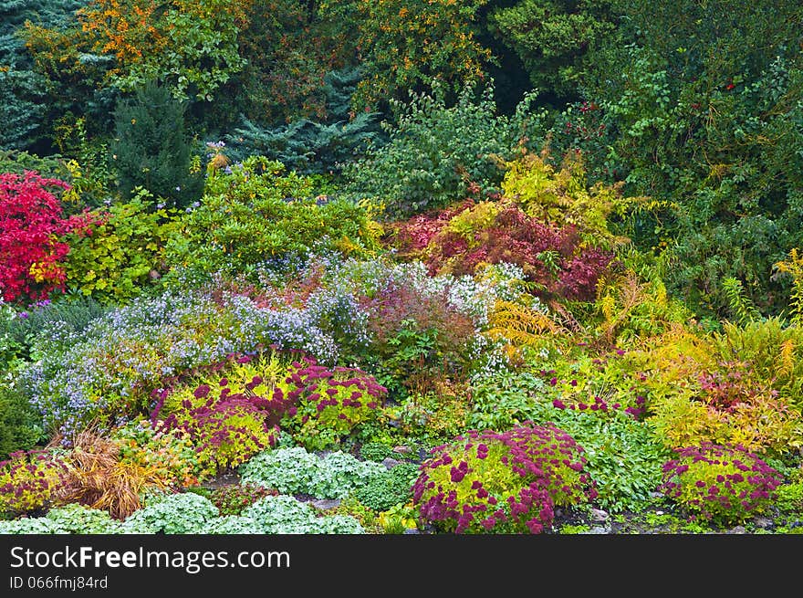 Garden with flowers in autumn colors