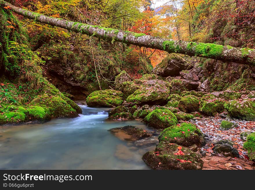 Creek Deep In Mountain Forest