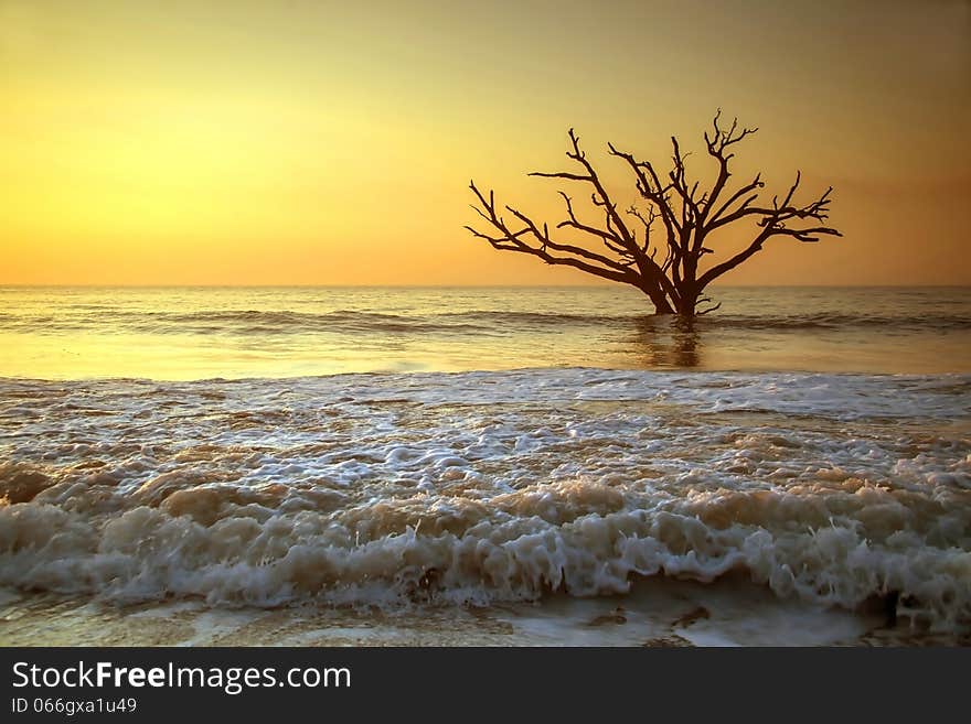 Sunrise over Botany Bay Beach on Edisto Island, South Carolina. Sunrise over Botany Bay Beach on Edisto Island, South Carolina