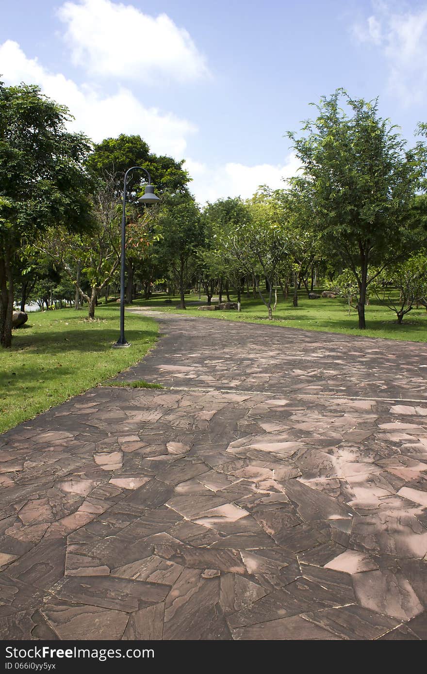 The park is a place where a community. Holiday in the shady picnic cooler. The park is a place where a community. Holiday in the shady picnic cooler.