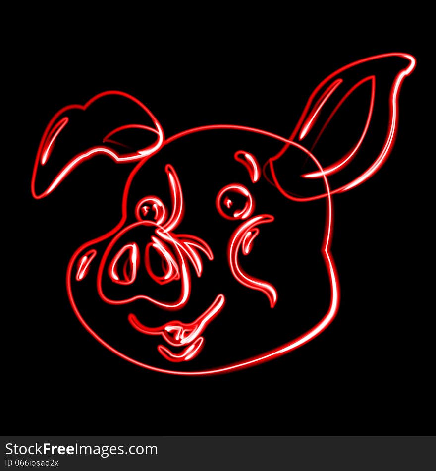 Pig