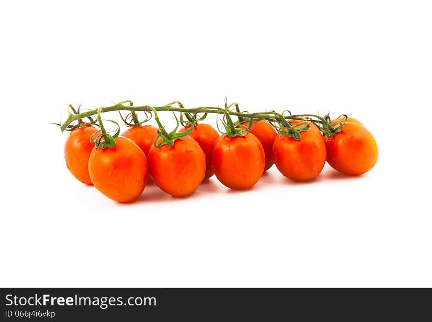 Red cherry tomatoes on a branch