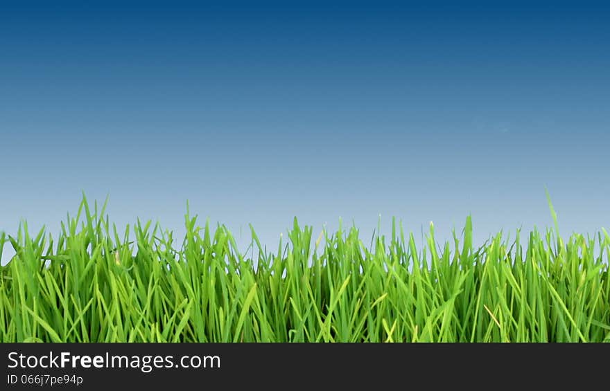 Sky-blue background. Young green grass. Men's hand in a white shirt, mows the grass with scissors. Sky-blue background. Young green grass. Men's hand in a white shirt, mows the grass with scissors