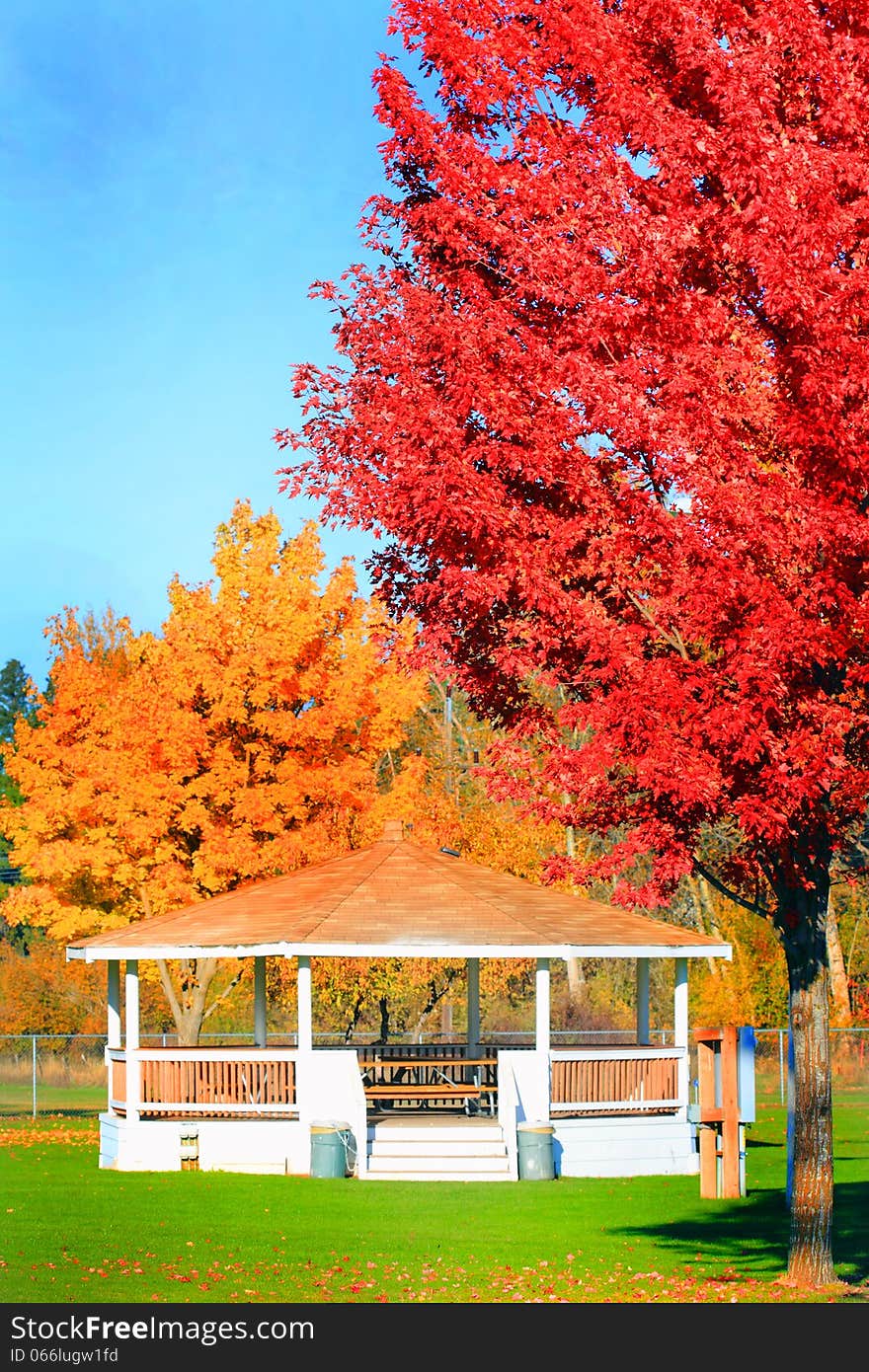 Bright colorful Autumn trees, gazebo, and bright blue sky. Copy space. Shallow depth of field. Bright colorful Autumn trees, gazebo, and bright blue sky. Copy space. Shallow depth of field.