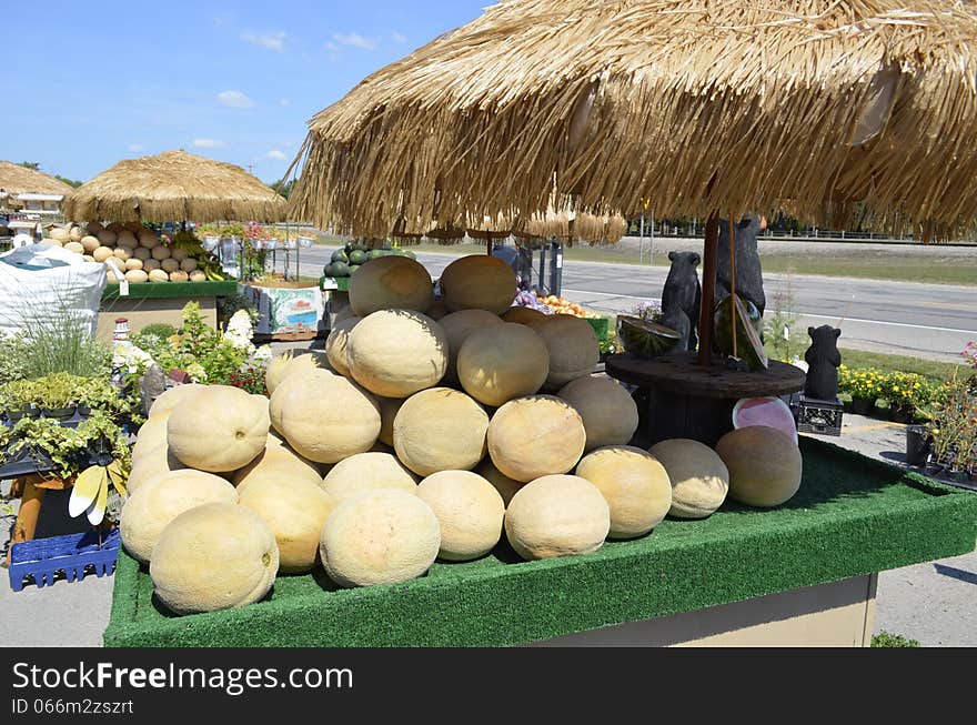 Fresh ripe cantaloupe for sale at an outdoor market