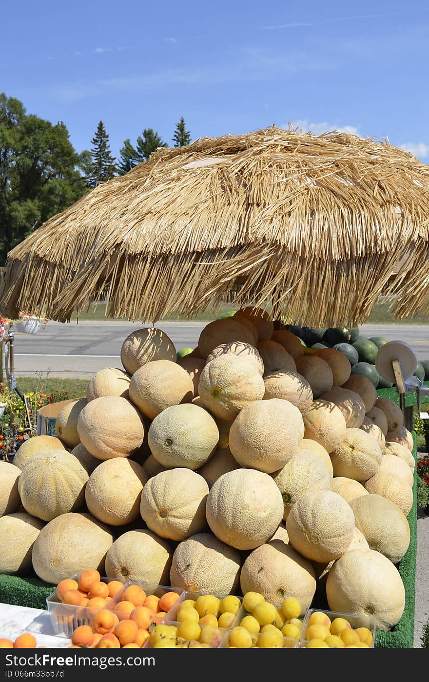 Fresh ripe cantaloupe for sale at an outdoor market