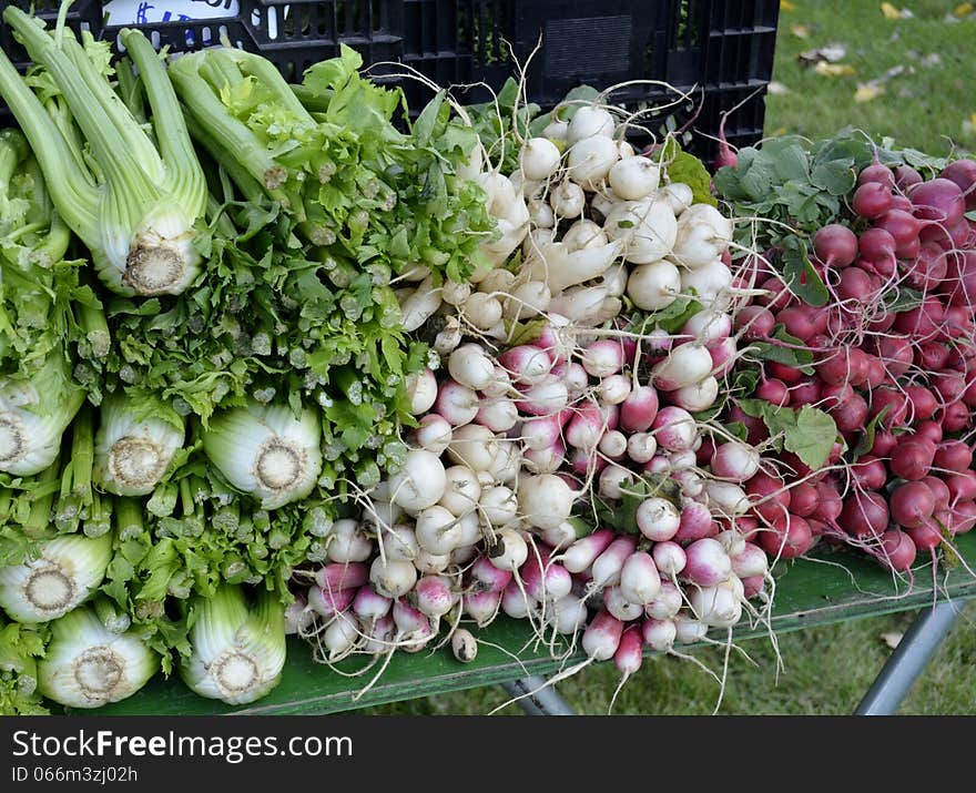 Fresh produce for sale at a local Farmers market in rural Michigan, USA