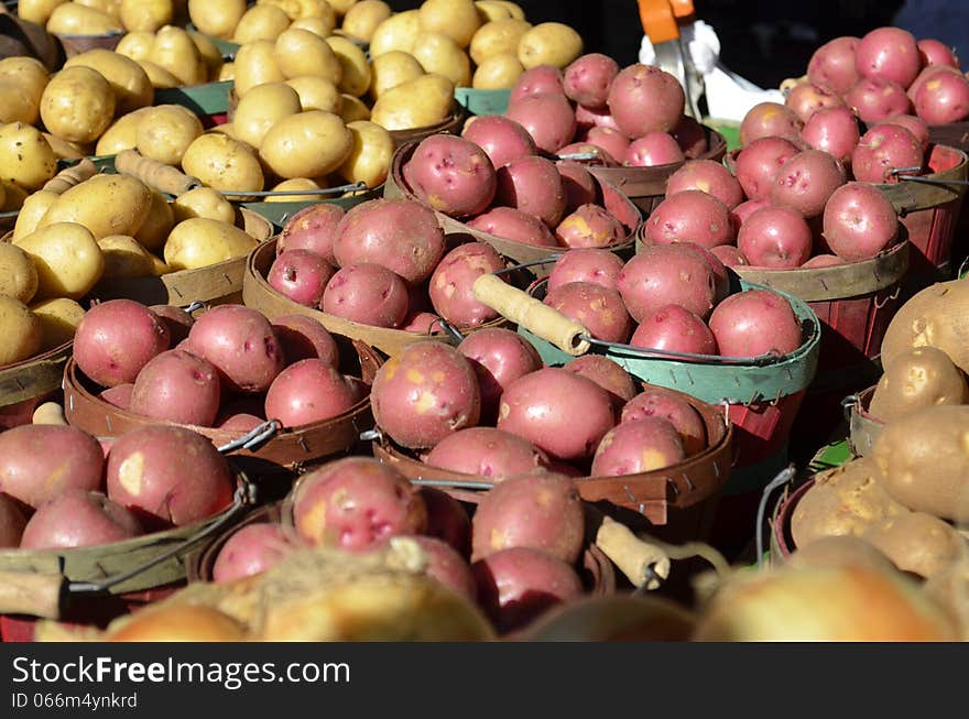 Baskets full of clean organic potatoes for sale at a local Farmers market in rural Michigan, USA