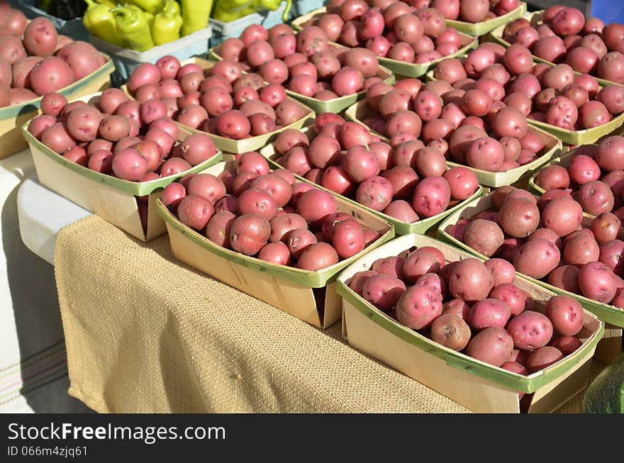 Baskets full of clean organic potatoes for sale at a local Farmers market in rural Michigan, USA